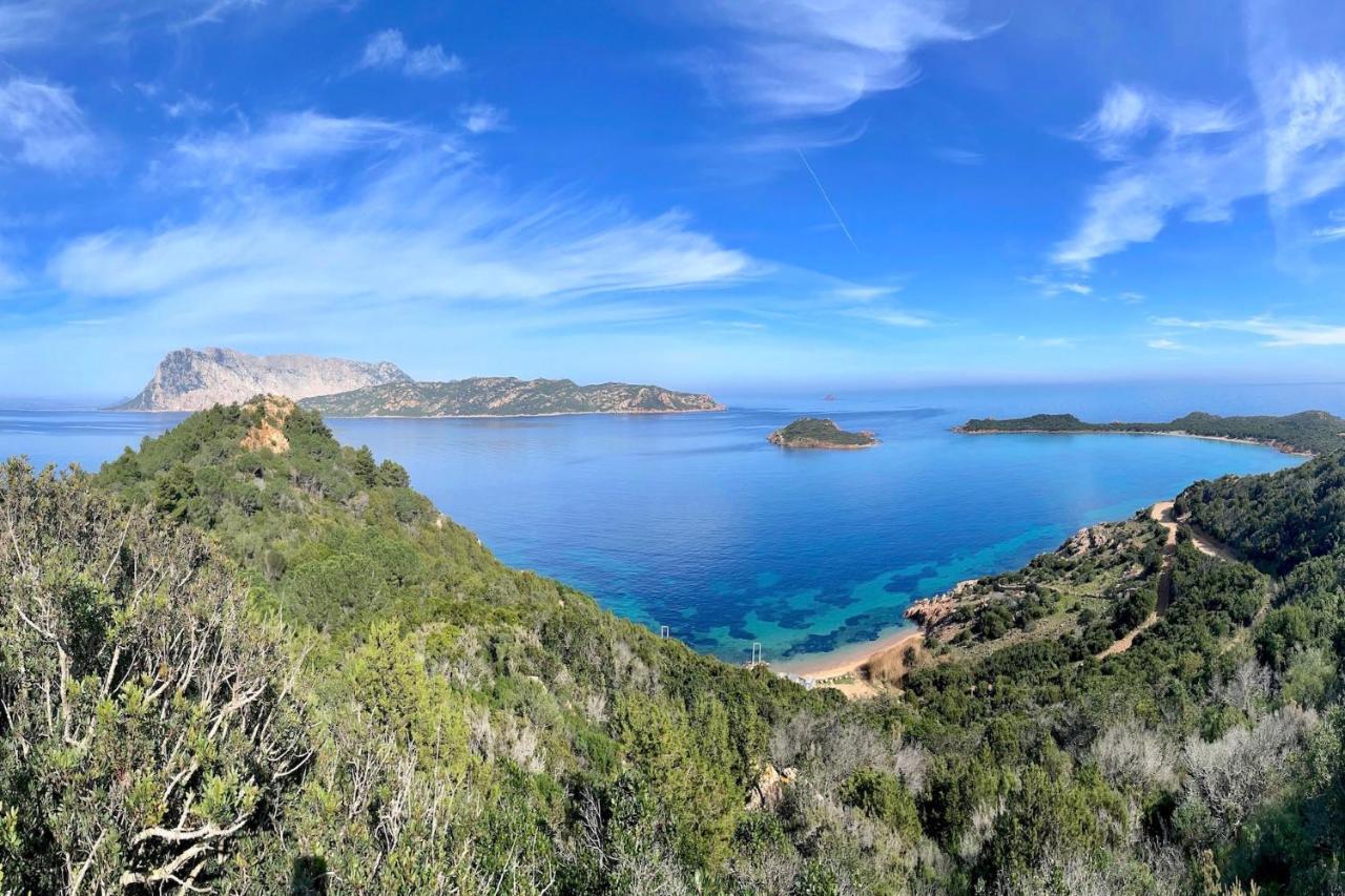 Appartamento San Teodoro Punta Est Curatissimo Bilocale Capo Coda Cavallo Esterno foto