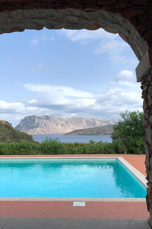 Appartamento San Teodoro Punta Est Curatissimo Bilocale Capo Coda Cavallo Esterno foto