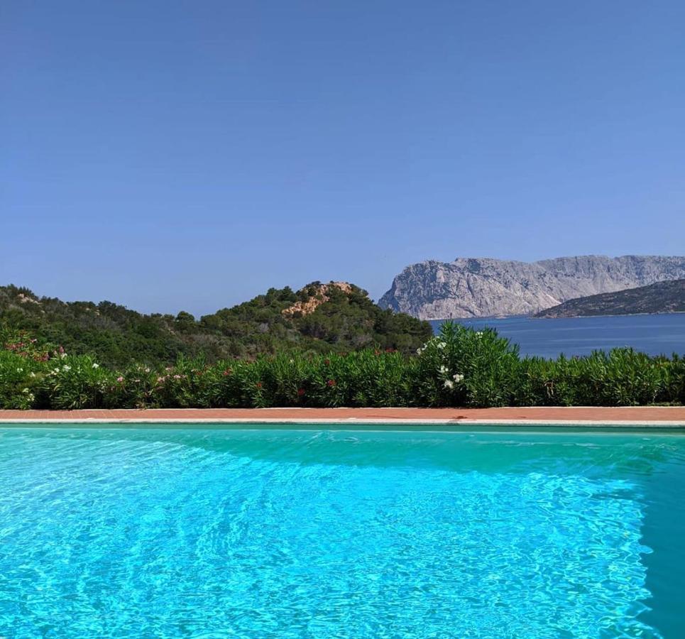 Appartamento San Teodoro Punta Est Curatissimo Bilocale Capo Coda Cavallo Esterno foto