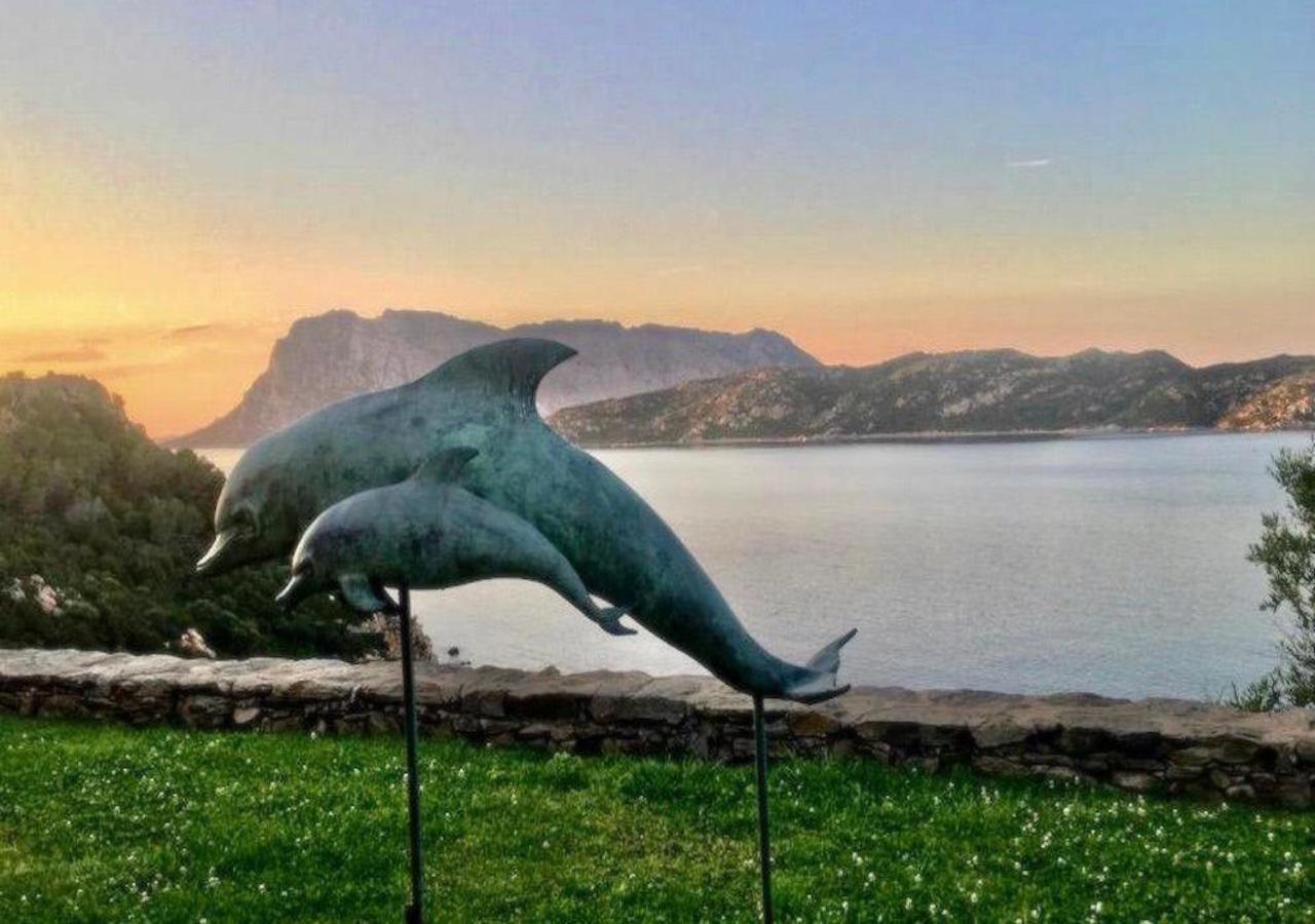 Appartamento San Teodoro Punta Est Curatissimo Bilocale Capo Coda Cavallo Esterno foto