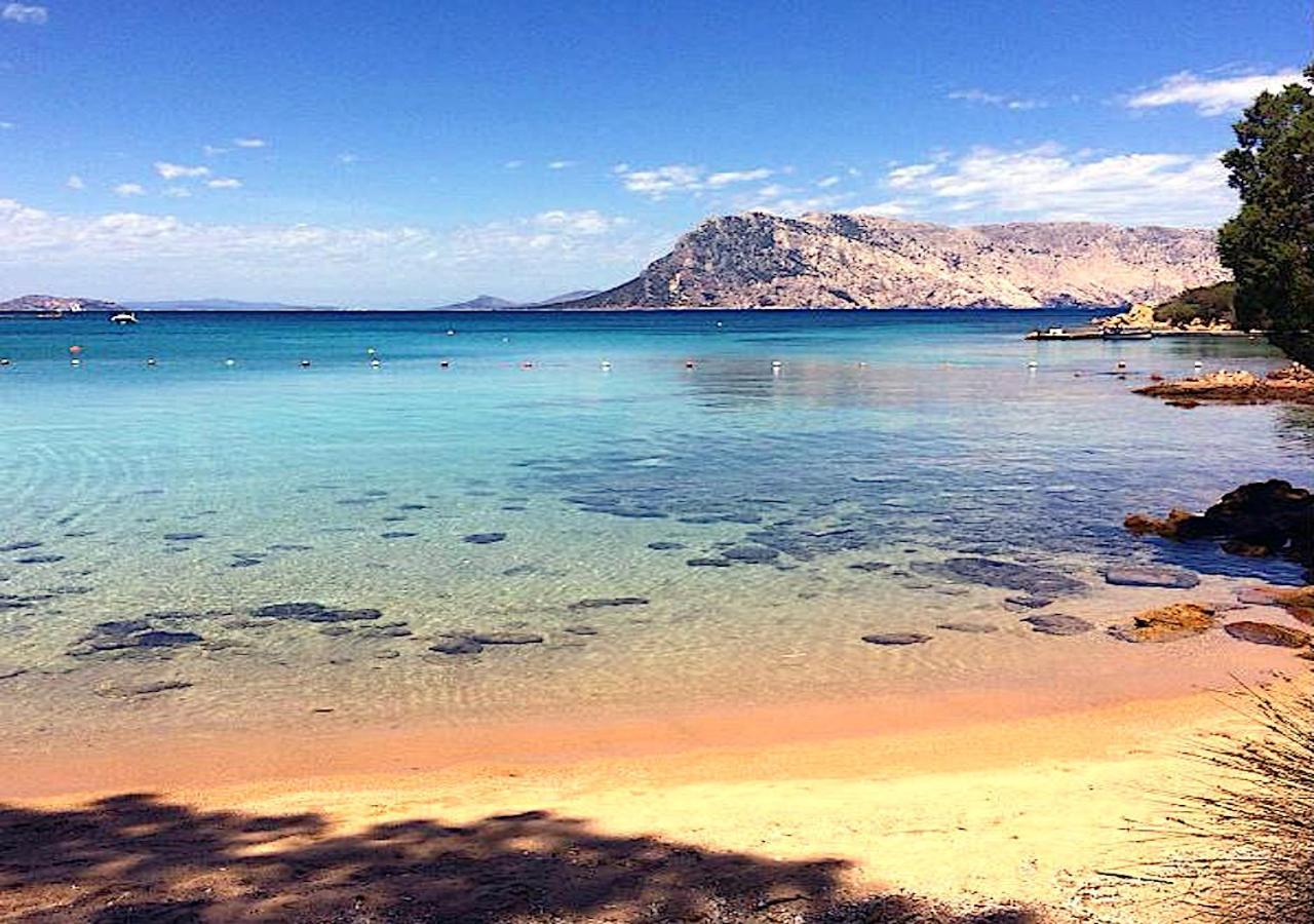Appartamento San Teodoro Punta Est Curatissimo Bilocale Capo Coda Cavallo Esterno foto