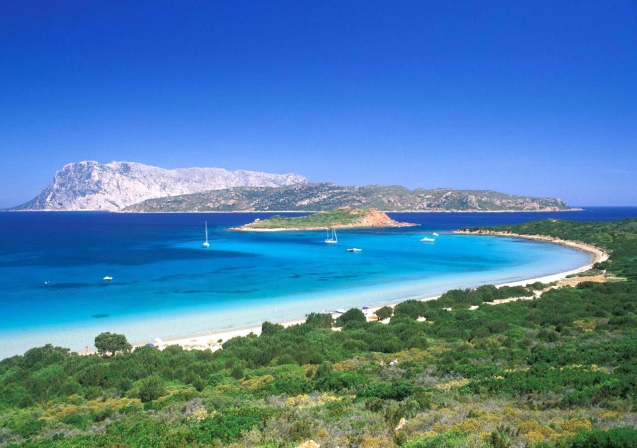 Appartamento San Teodoro Punta Est Curatissimo Bilocale Capo Coda Cavallo Esterno foto