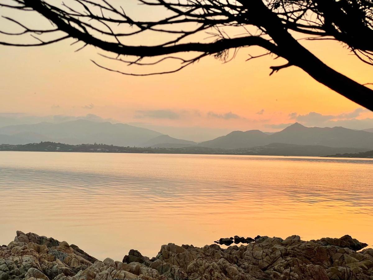 Appartamento San Teodoro Punta Est Curatissimo Bilocale Capo Coda Cavallo Esterno foto