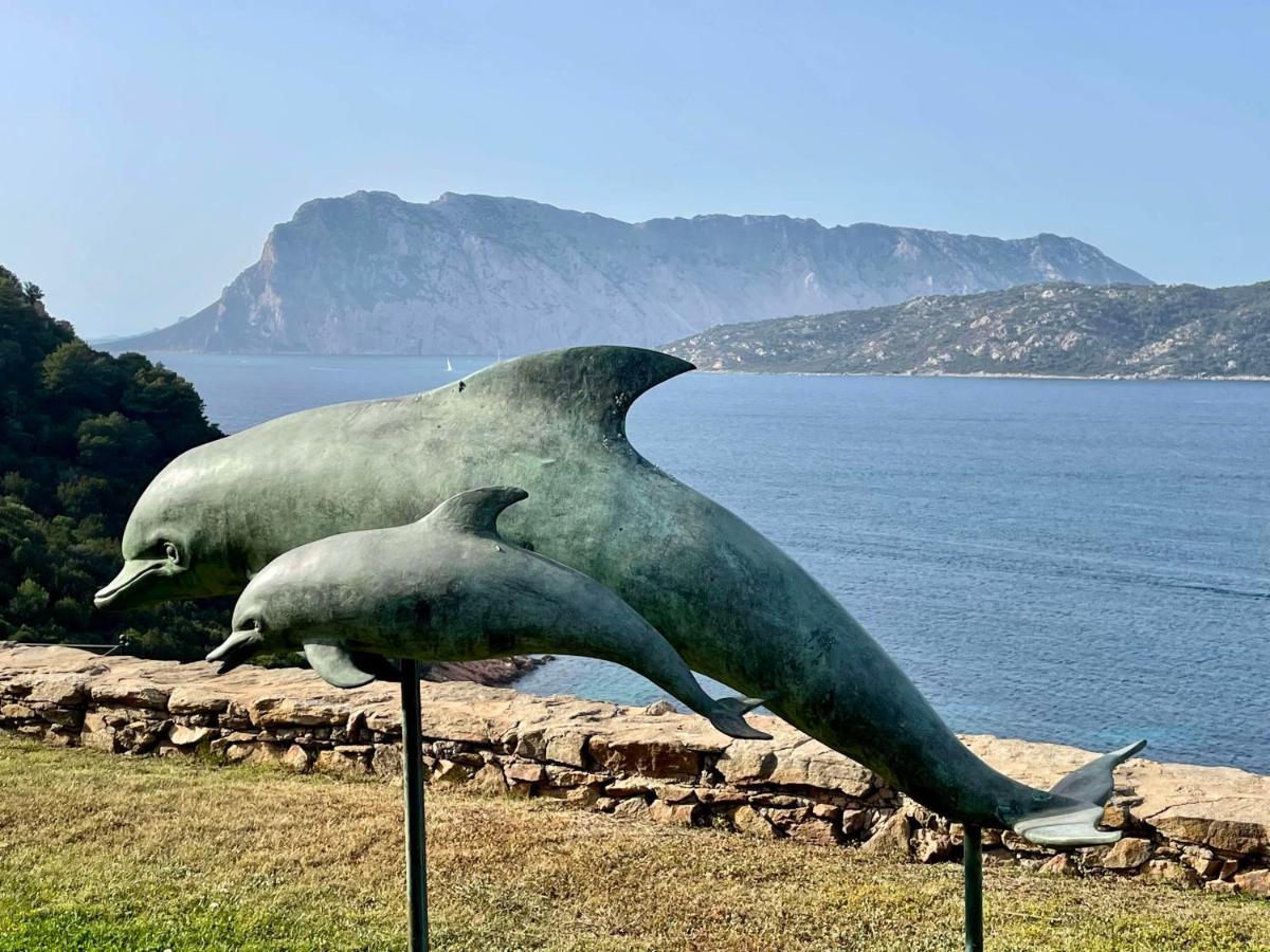 Appartamento San Teodoro Punta Est Curatissimo Bilocale Capo Coda Cavallo Esterno foto