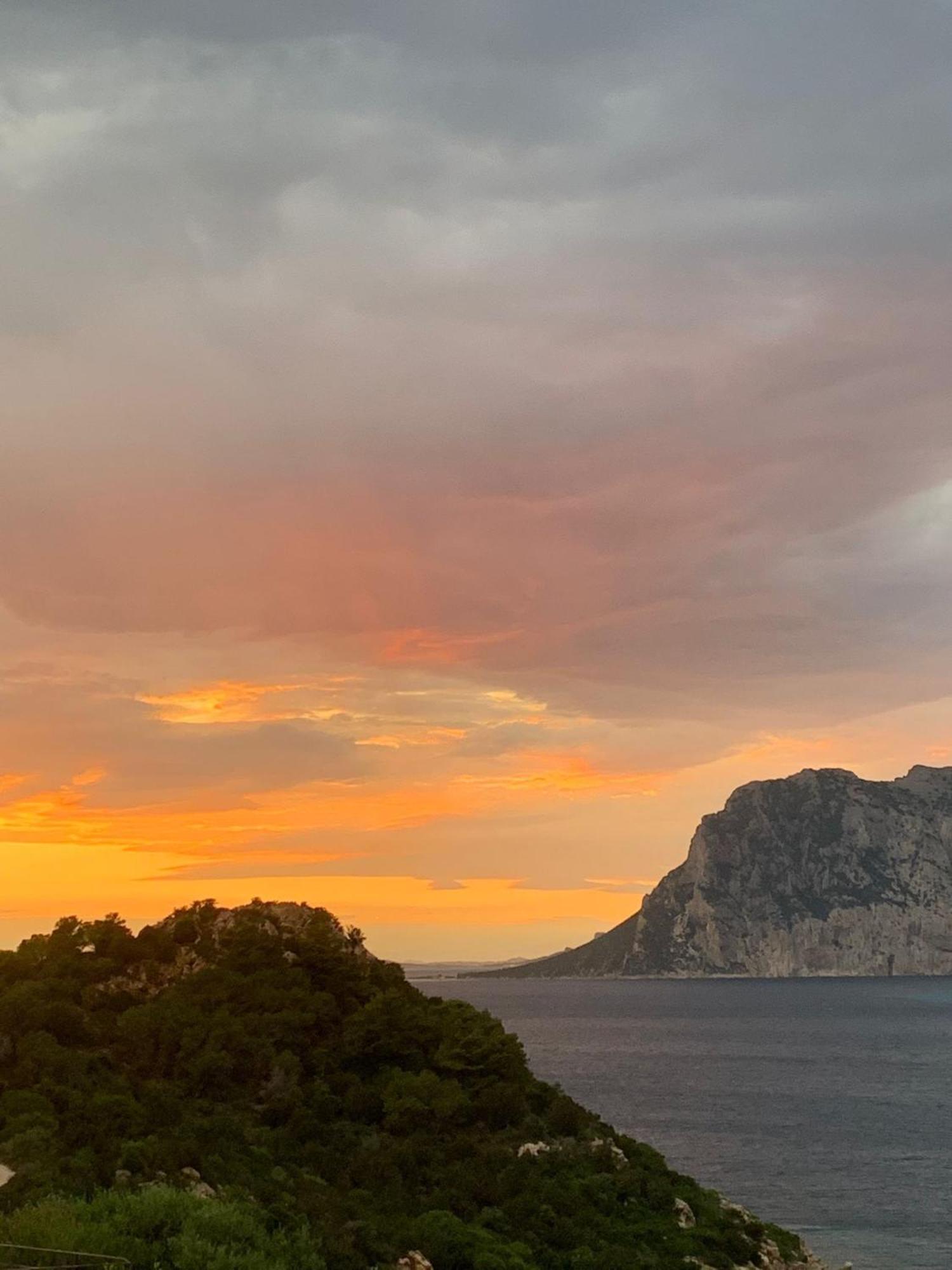 Appartamento San Teodoro Punta Est Curatissimo Bilocale Capo Coda Cavallo Esterno foto